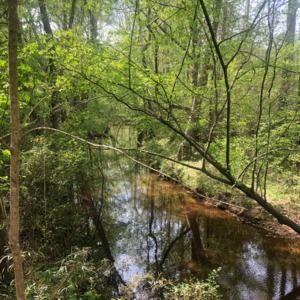 Meet your Posher, Malissa